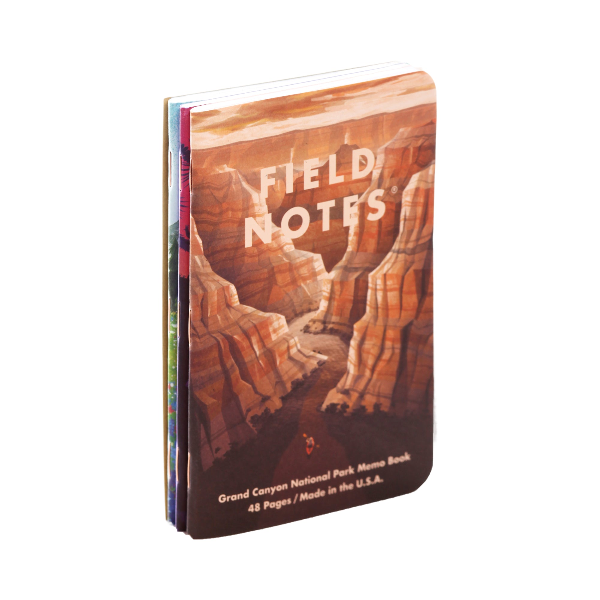 Блокнот Field Notes National Parks Серія B Angle