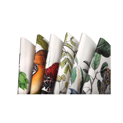 Набір блокнотів Field Notes Birds and Trees of North America Серія A