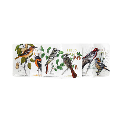 Набір блокнотів Field Notes Birds and Trees of North America Серія B